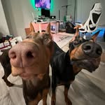 zakiyathedobie profile picture