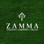 zamma_eventos profile picture