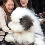 zammypup profile picture