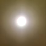 zannassssss profile picture
