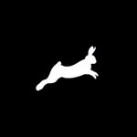 zapatosmontesina profile picture