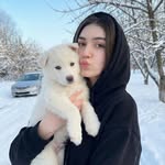 zarairahh profile picture