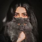 zarnab_khan_0 profile picture
