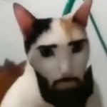 zb_rohmot_1 profile picture