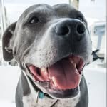 zeakyatsea profile picture