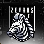 zebrasfc.kl profile picture