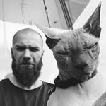 zeedavid profile picture