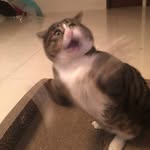 zeeeeeun_56 profile picture