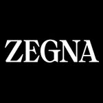 zegna profile picture