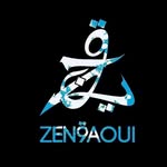 zen9aoui__style profile picture