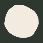 zevrovineselections profile picture