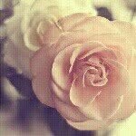 zflowers123 profile picture