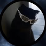 zfrwantstobedied profile picture