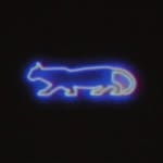 zhamakthecat profile picture