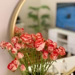 zidi27966 profile picture
