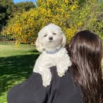 zieglergirlpets profile picture