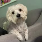 ziggers00 profile picture