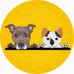 ziggyandtictac profile picture