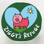 ziggysrefuge profile picture