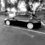zincstang profile picture