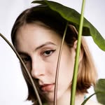 zippscape profile picture