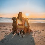 zoe.the.weimaraner profile picture
