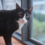 zoeandcubi profile picture