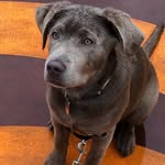 zoegoes317 profile picture