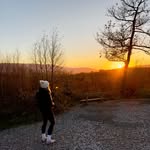 zoerpollock profile picture