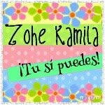 zohetusipuedes profile picture