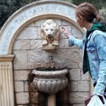 zoi_flora profile picture