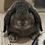zookeeperck profile picture