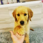 zoomwaala profile picture