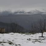 zunied____khan_786 profile picture
