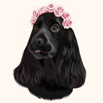 zuri.the.cocker profile picture