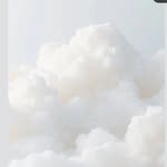 zvisualgalleryiwny profile picture