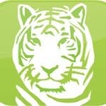 zwfmiami profile picture