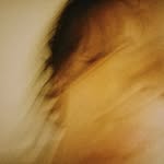 zzoo28lab profile picture